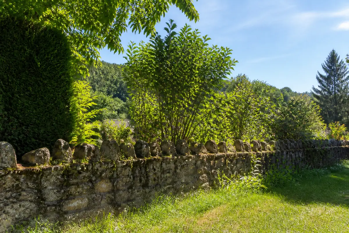 Mur en pierre avec végétation luxuriante, arbres et herbes sous un ciel bleu. Scène naturelle estivale.